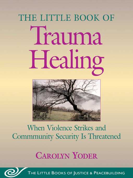 Cover image for Little Book of Trauma Healing